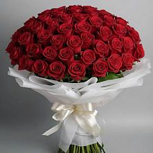 Букет 101 Красная роза Блэк Мэджик в Бабстово