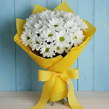 Букет цветов из:  Хризантемы в Бабстово