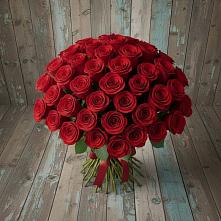Букет 55 Красных роз Фридом #REPLACE_PRED# Бабстово