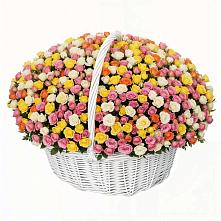 Премиум букет из: Розы в Бабстово