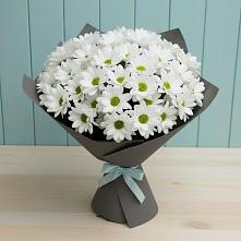 Букет цветов из:  Хризантемы в Бабстово