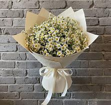 Букет цветов из:  Ромашки в Бабстово