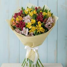 Букет цветов из:  Альстромерии в Бабстово