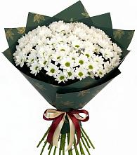 Букет цветов из:  Хризантемы #REPLACE_PRED# Бабстово