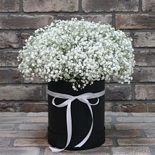 Цветочная композиция из Гипсофила в шляпной коробке в Бабстово
